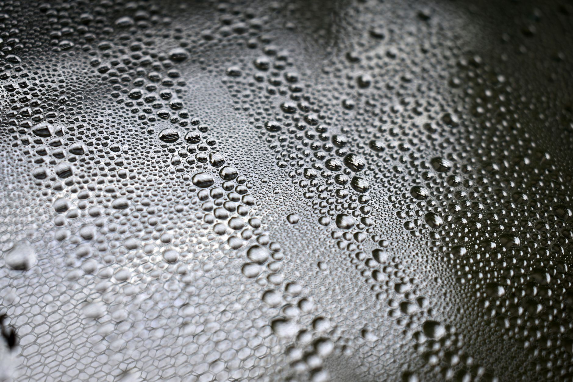 Tight water beads on freshly coated black paint